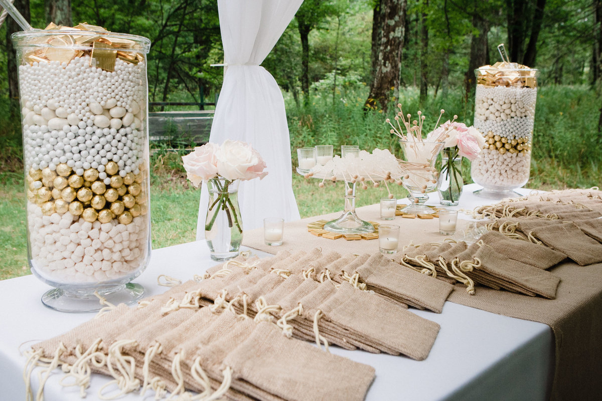Cetera Photography Weddings Michigan 076