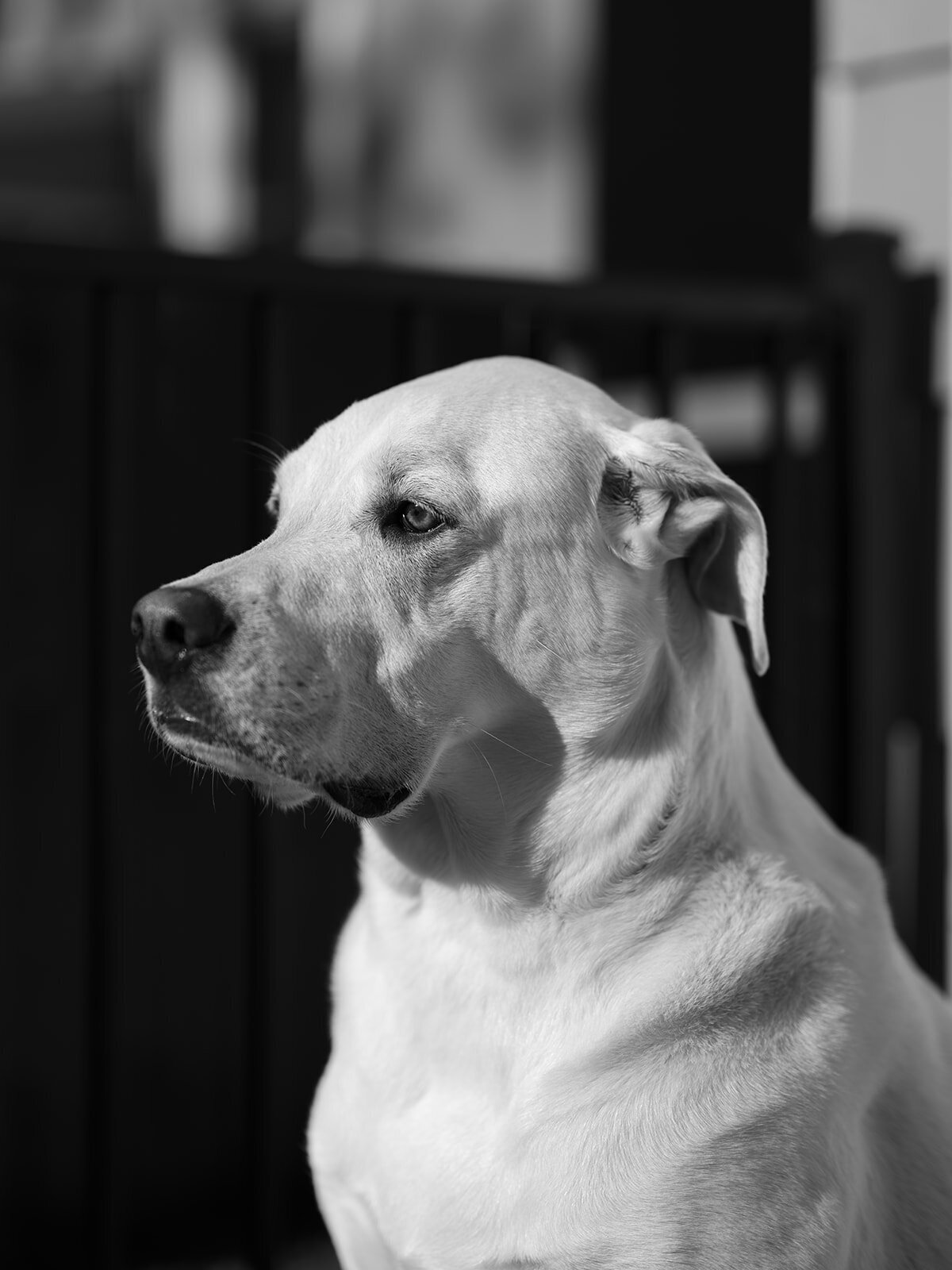 loui_photography_personal-5
