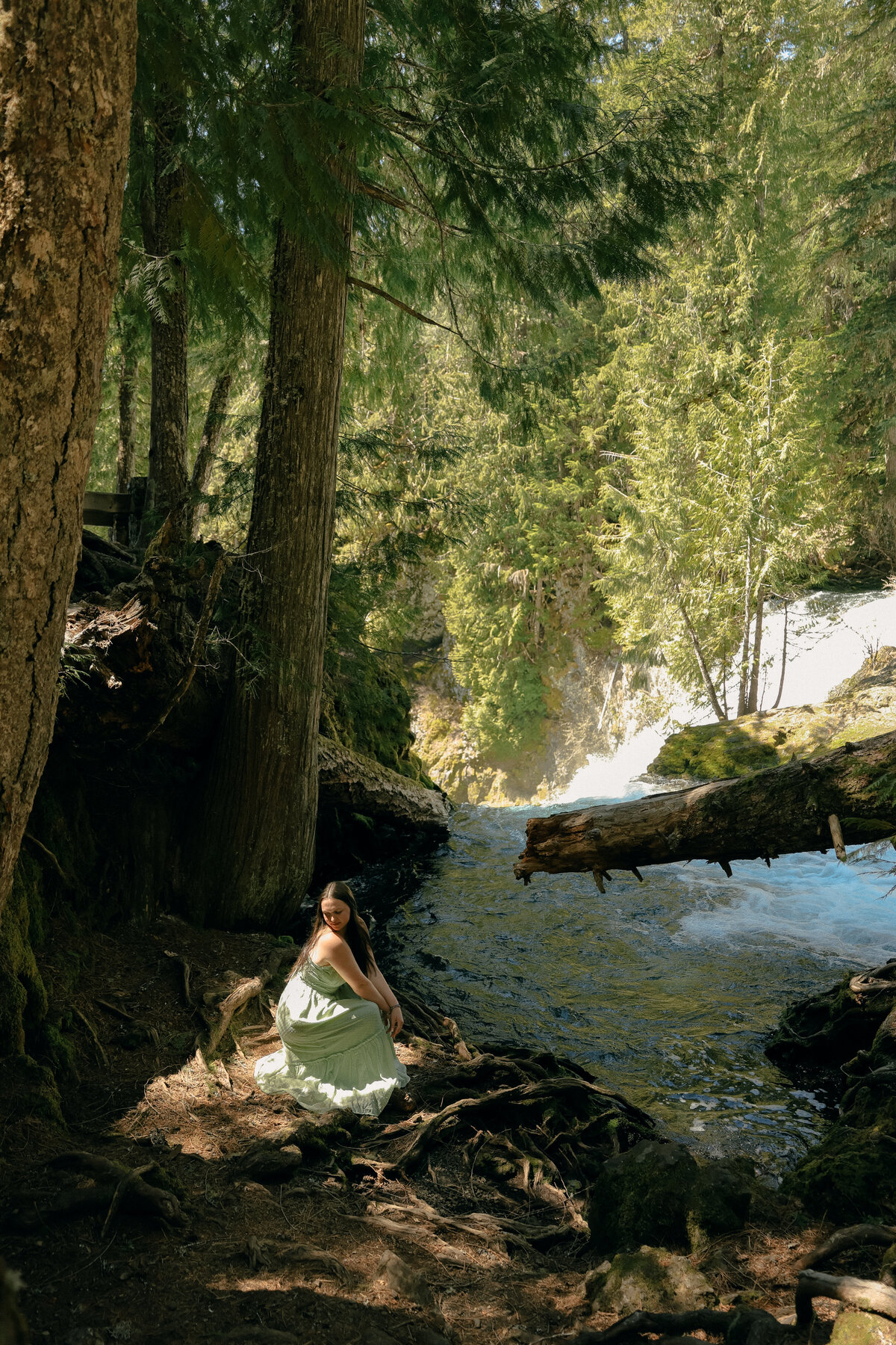 Golden Hour Senior Portrait Beside Sparkling Lake Surrounded by Green Trees