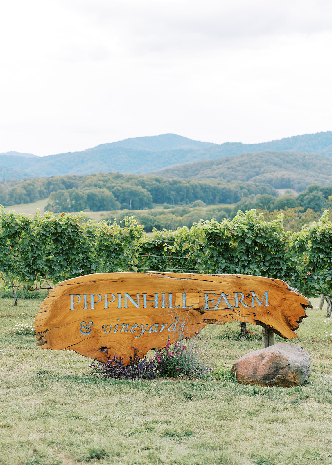 Pippin_Hill_Wedding_Photographer_Natalie_Jayne_Photography_-00470