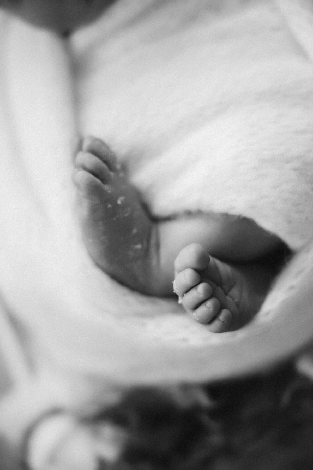 Baby August Sweet Connolly Photography-47