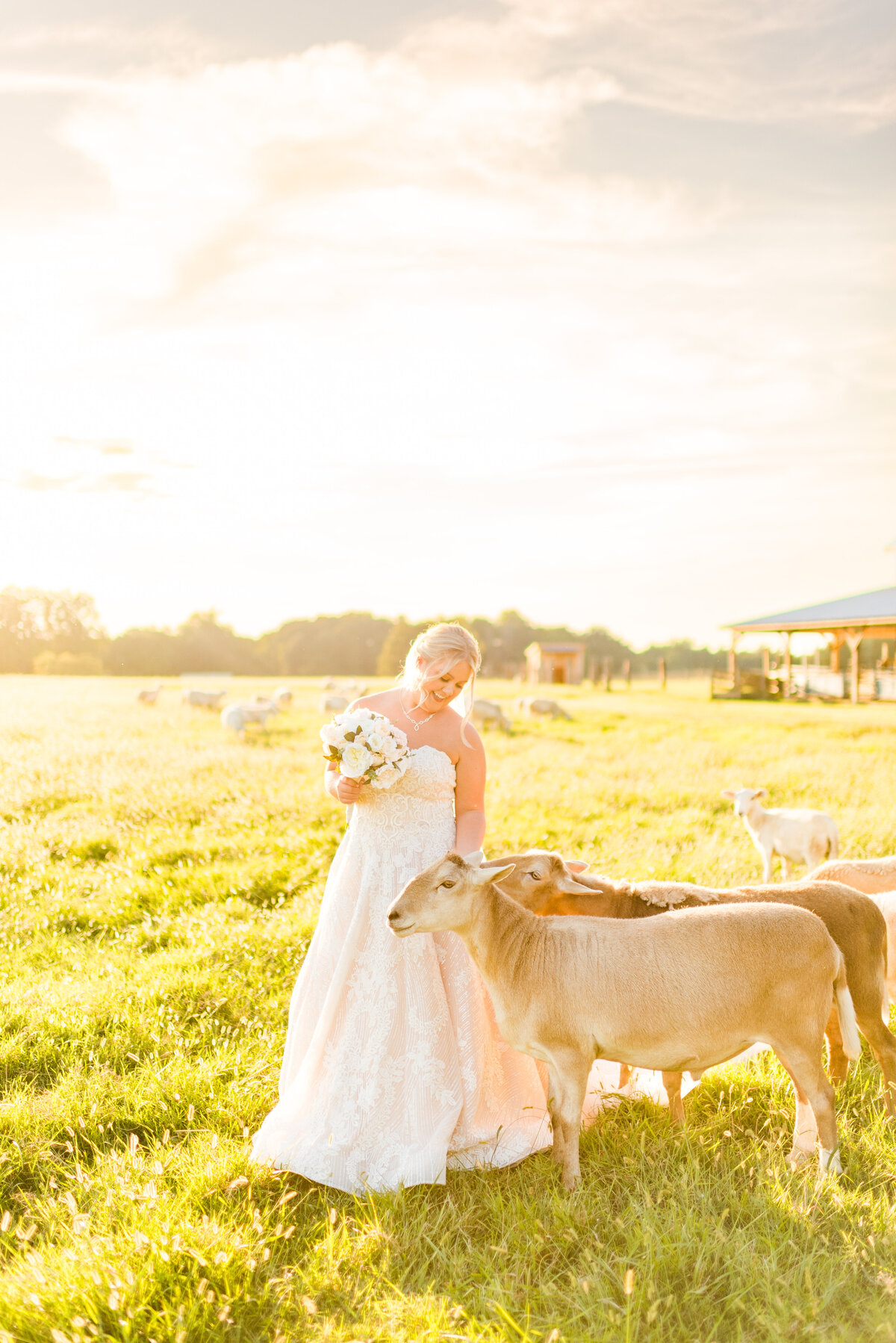 Ashleigh's Bridals - Photography by Gerri Anna-122