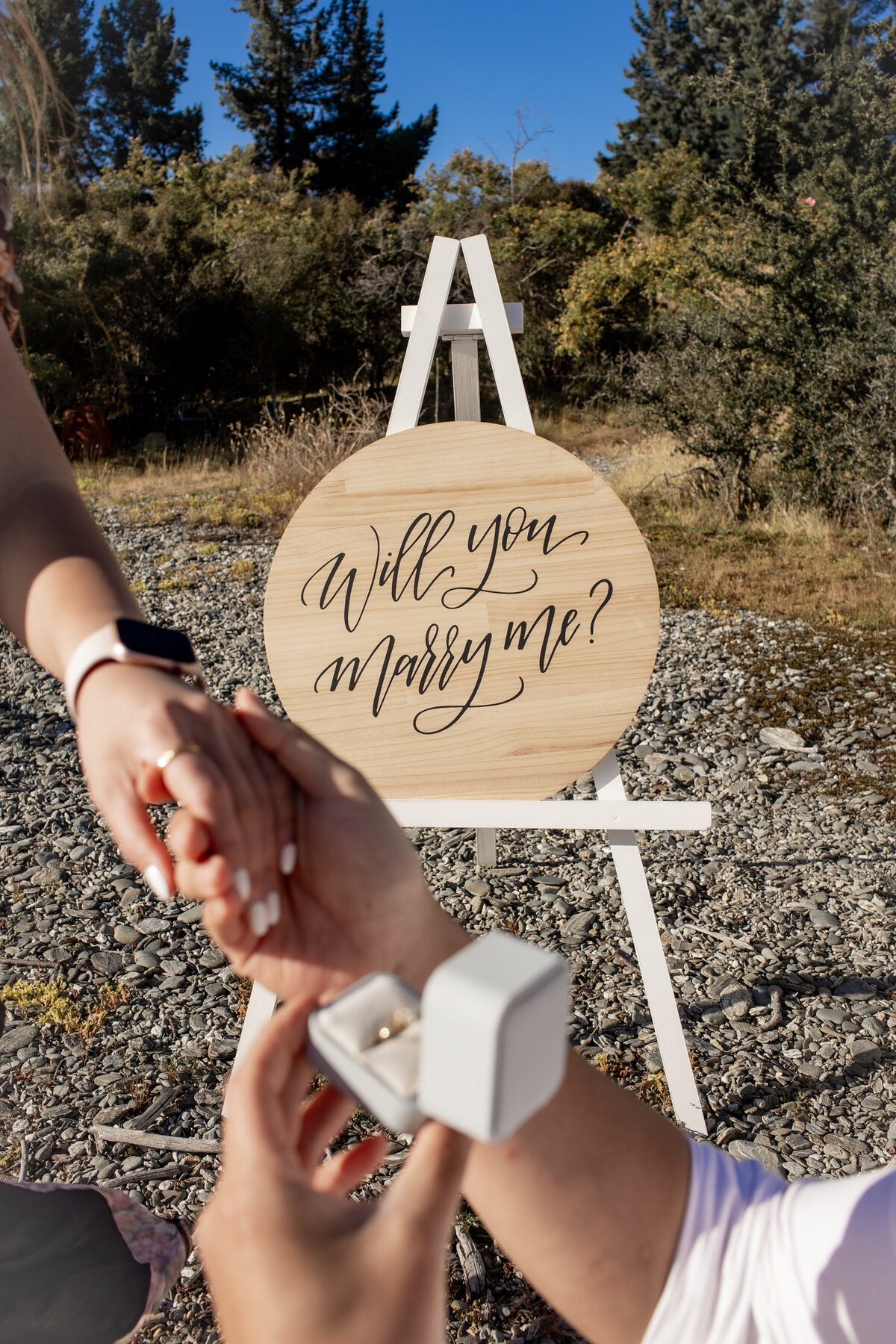Engagmentphotoshoot_ohdarlingcreativestudio_picnique_queenstown_RM23