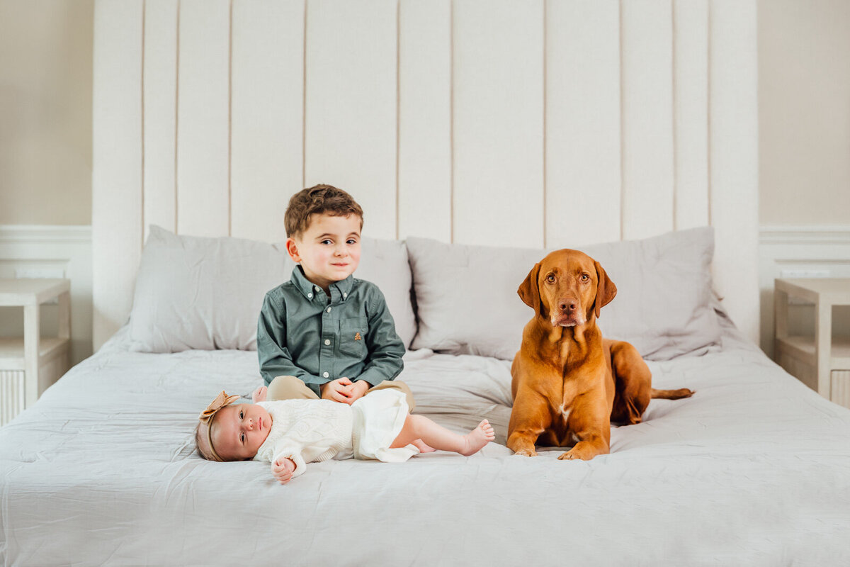 Long Island Family Newborn Photography