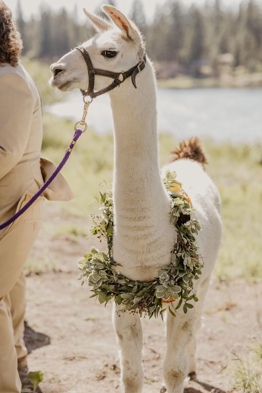 Kirsten+Phil-547