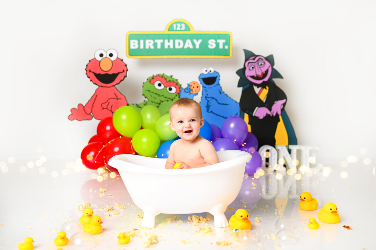 Sesame Street CakeSmash2