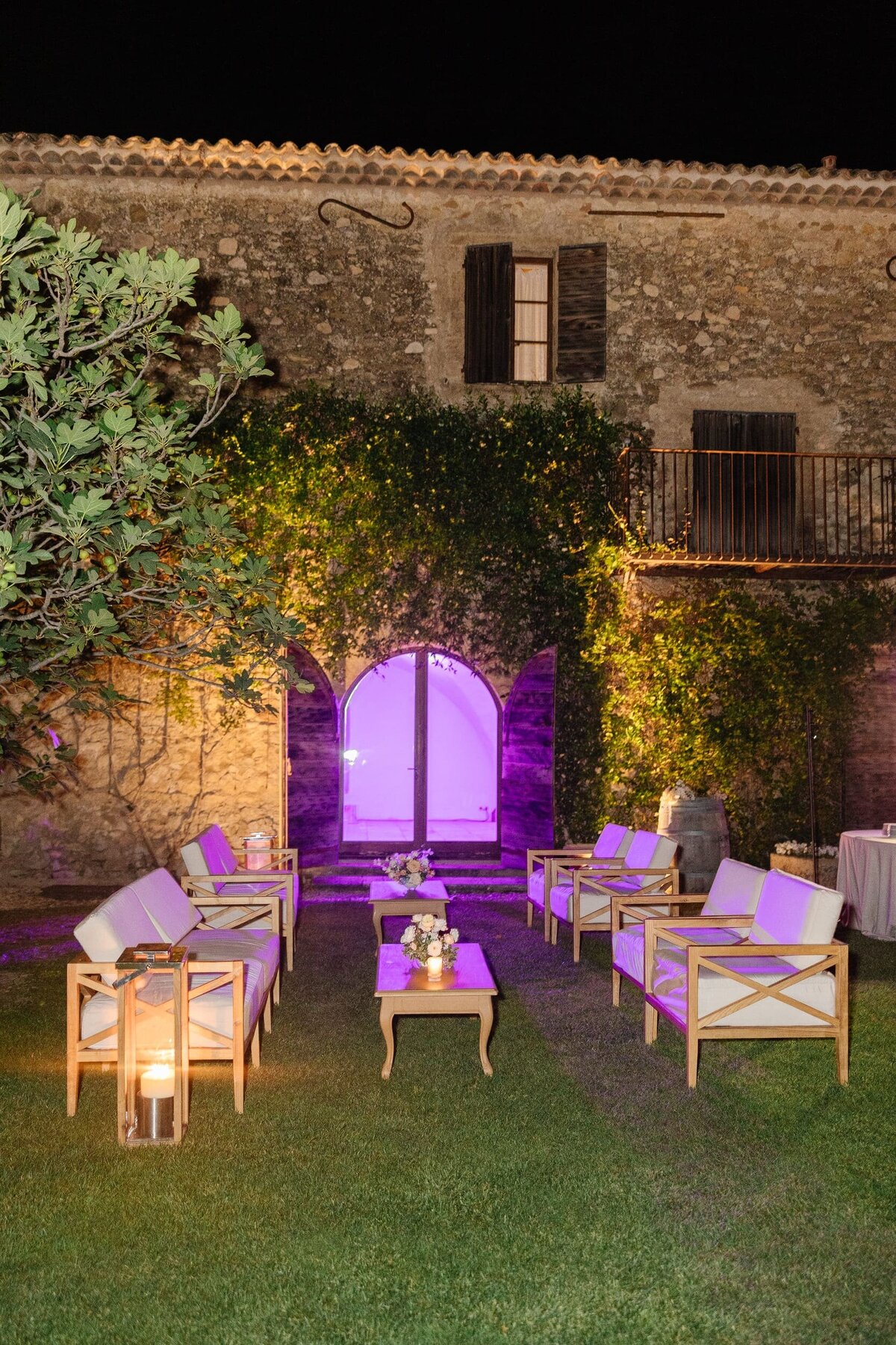 Chateau-de-Sannes-wedding-party