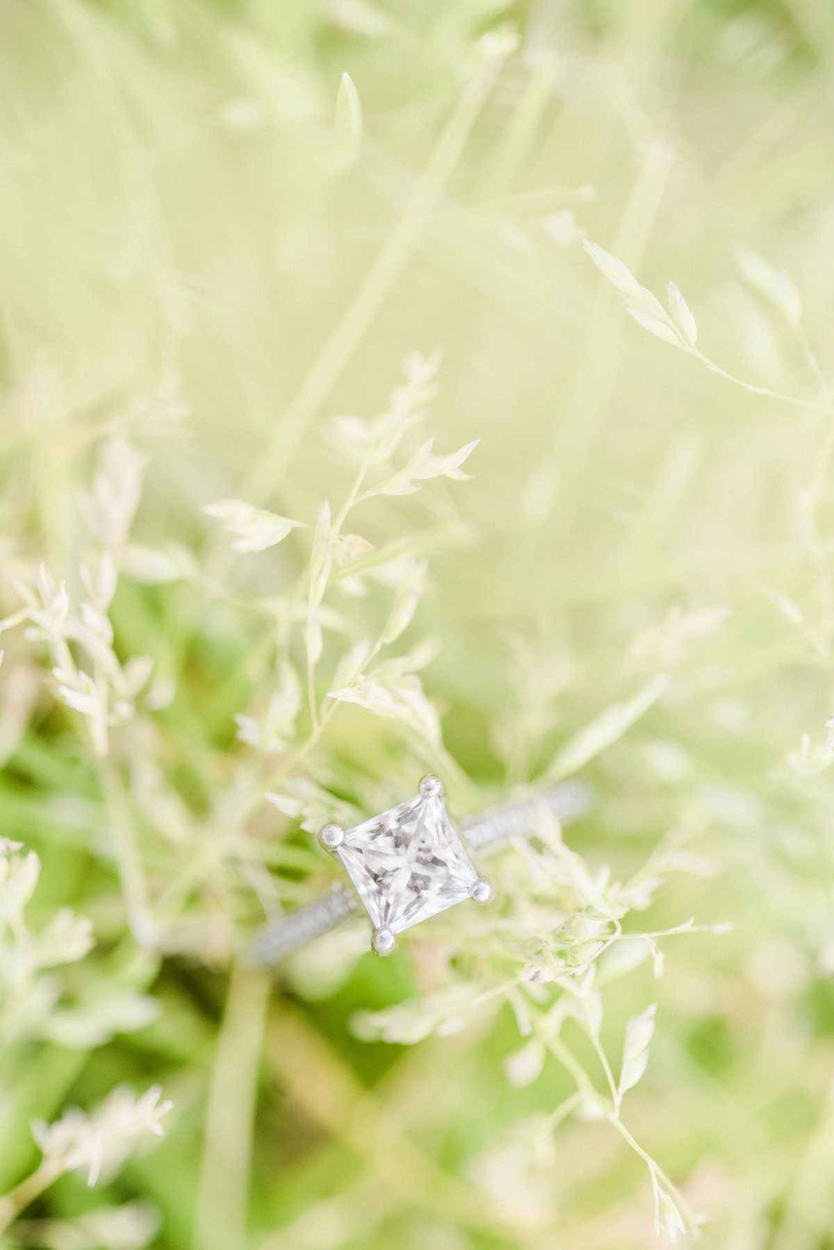 stephanie-kase-photography_0502