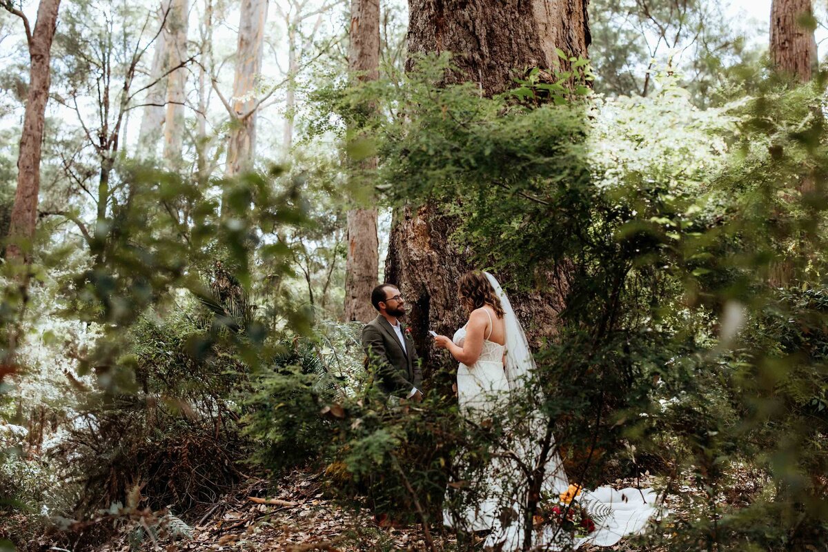 Forest-Elopement-Pemberton-8