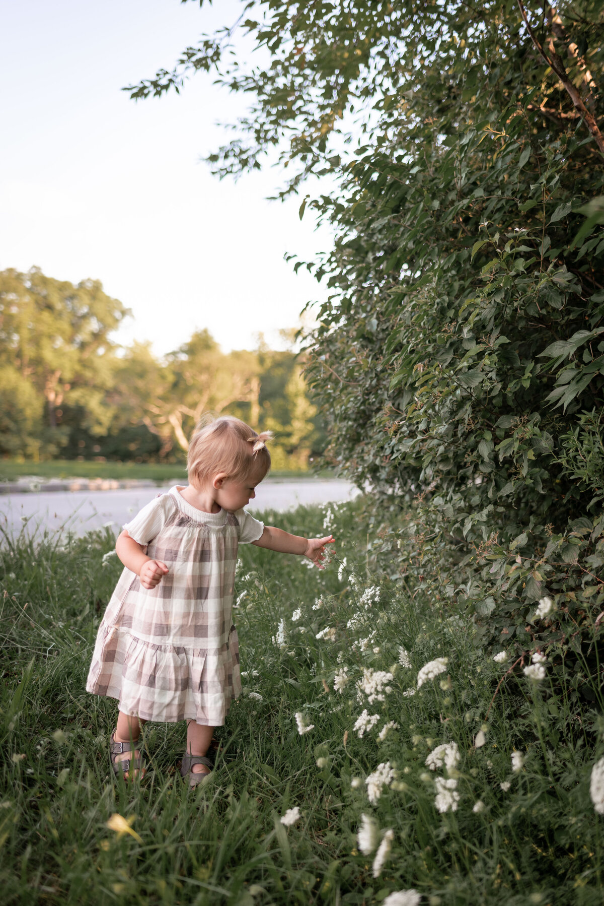 girl picking flowers family photographer northeast indiana
