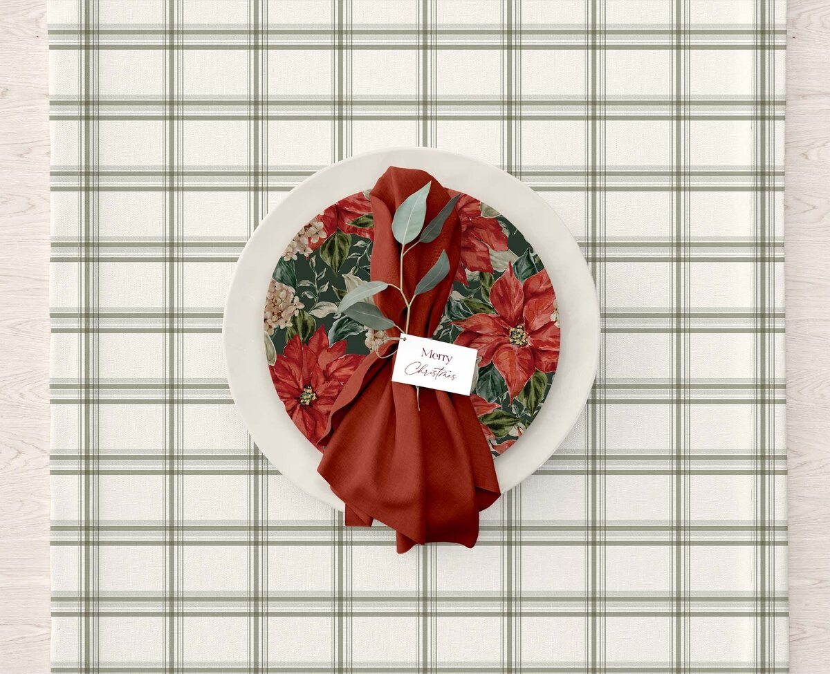 napkin and plate