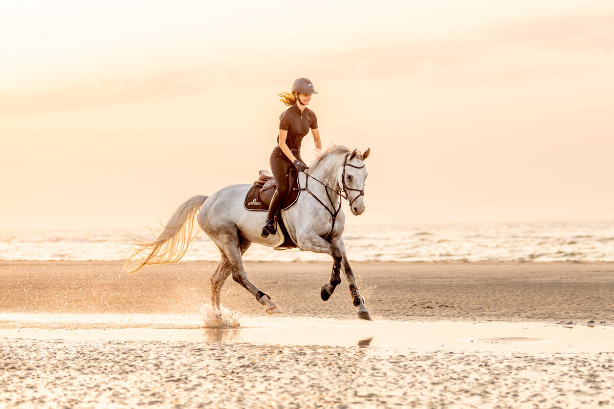 paardenfotograaf ameland-4