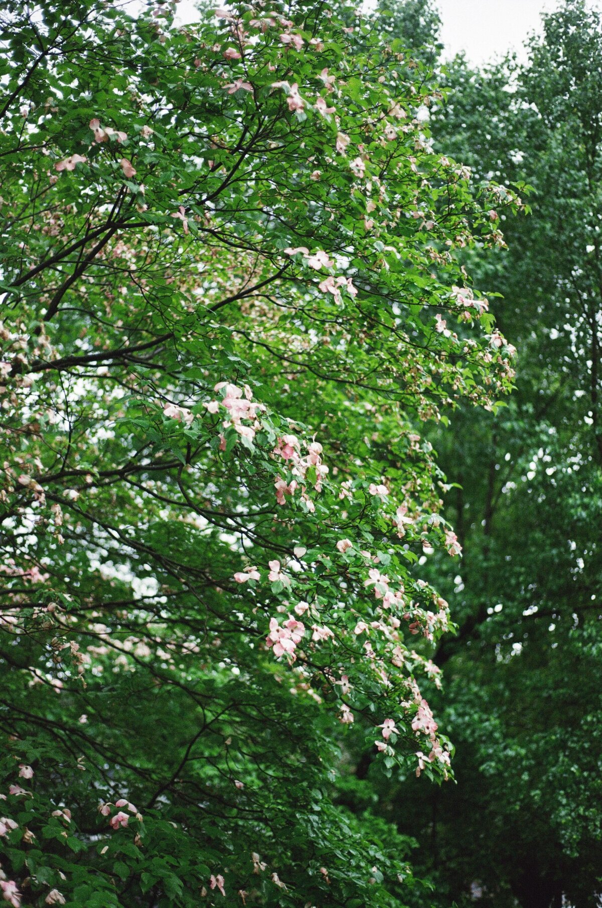 new-jersey-wedding-photographer000068460033