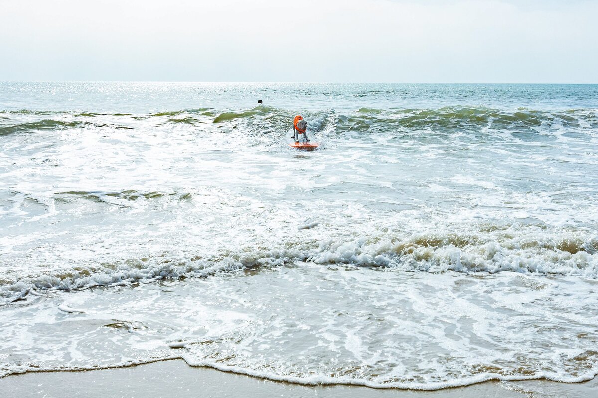 SoCal-Surf-Culture-Venice-Malibu-Muscle-Beach-Breakwater-0030