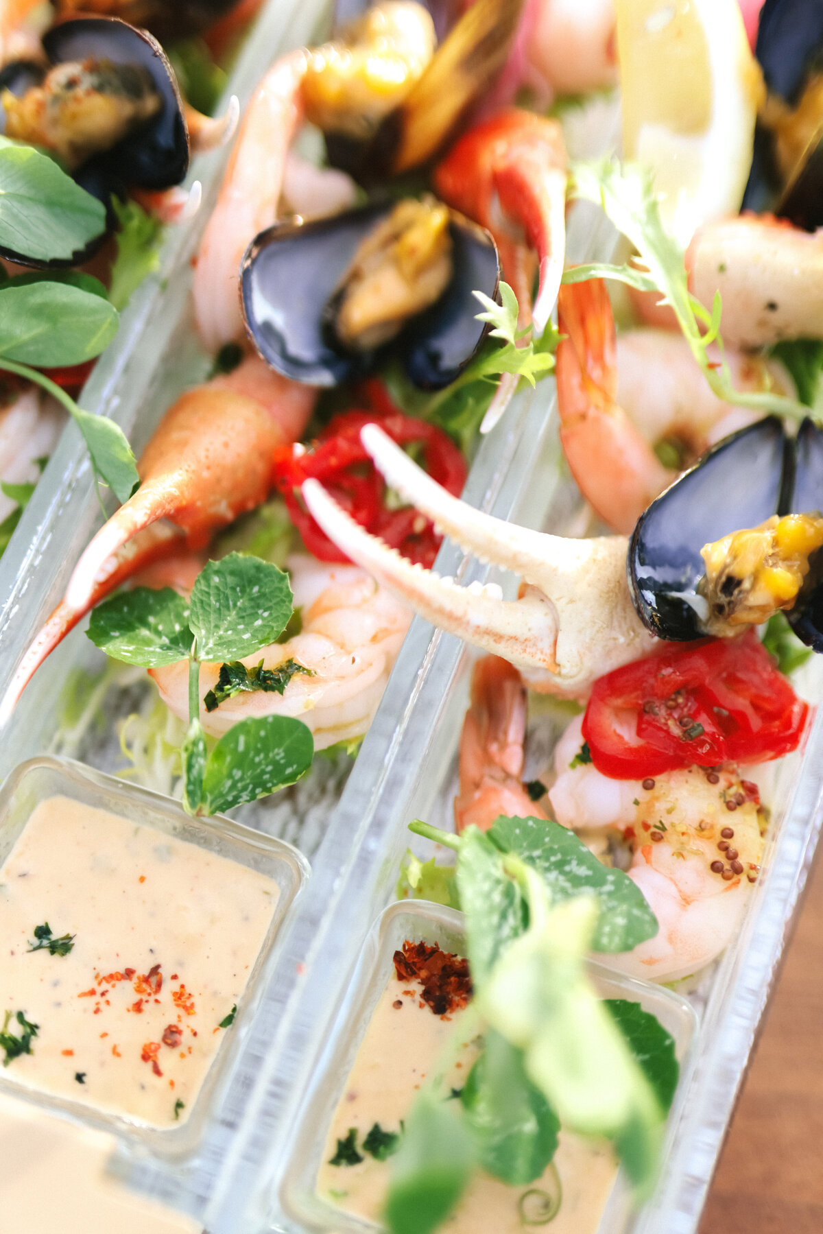 Washington DC Marketing and Brand Photography 5