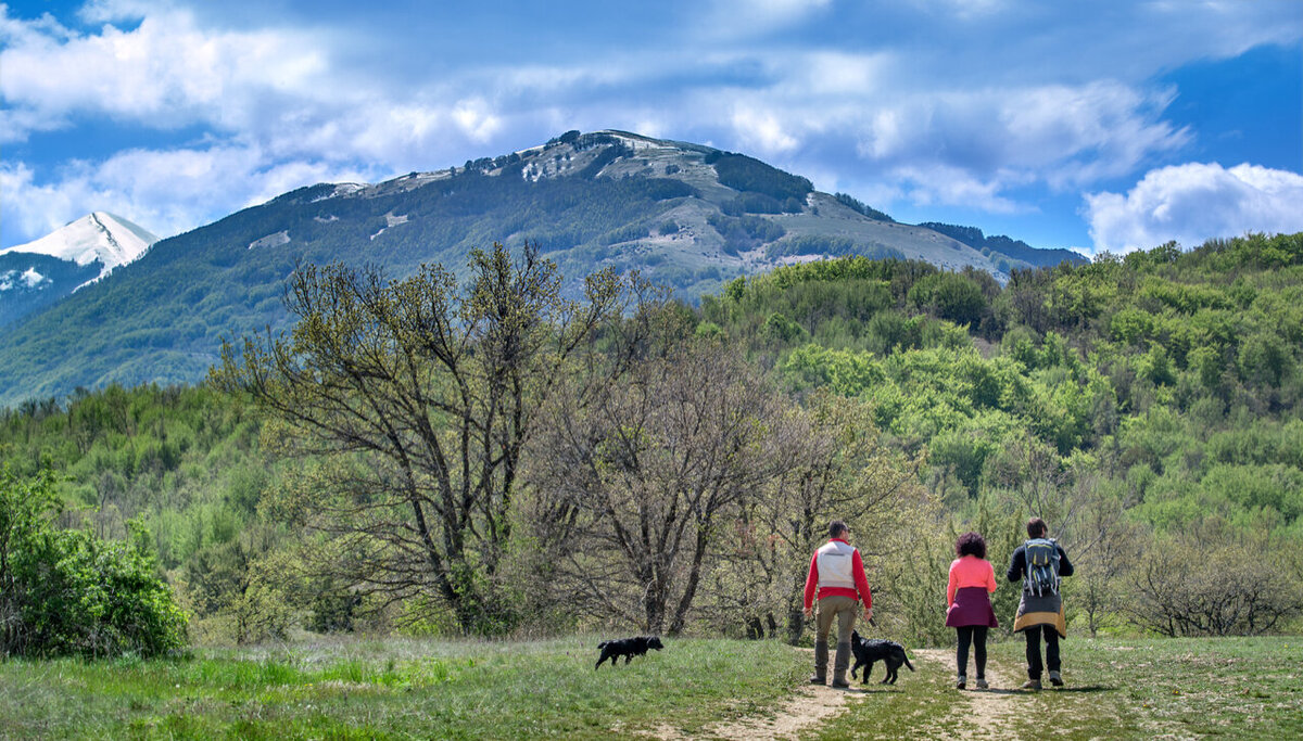 Waterstone - Palazzo Seneca- Norcia - Luxury Boutique Hotel - Truffle hunting in the mountains of Norcia