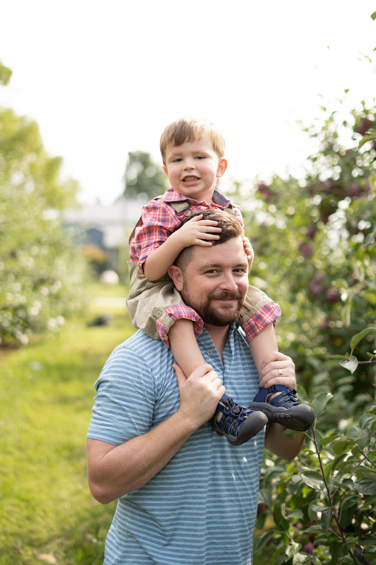 documentary fall family photo session at apple orchard northeast Ohio