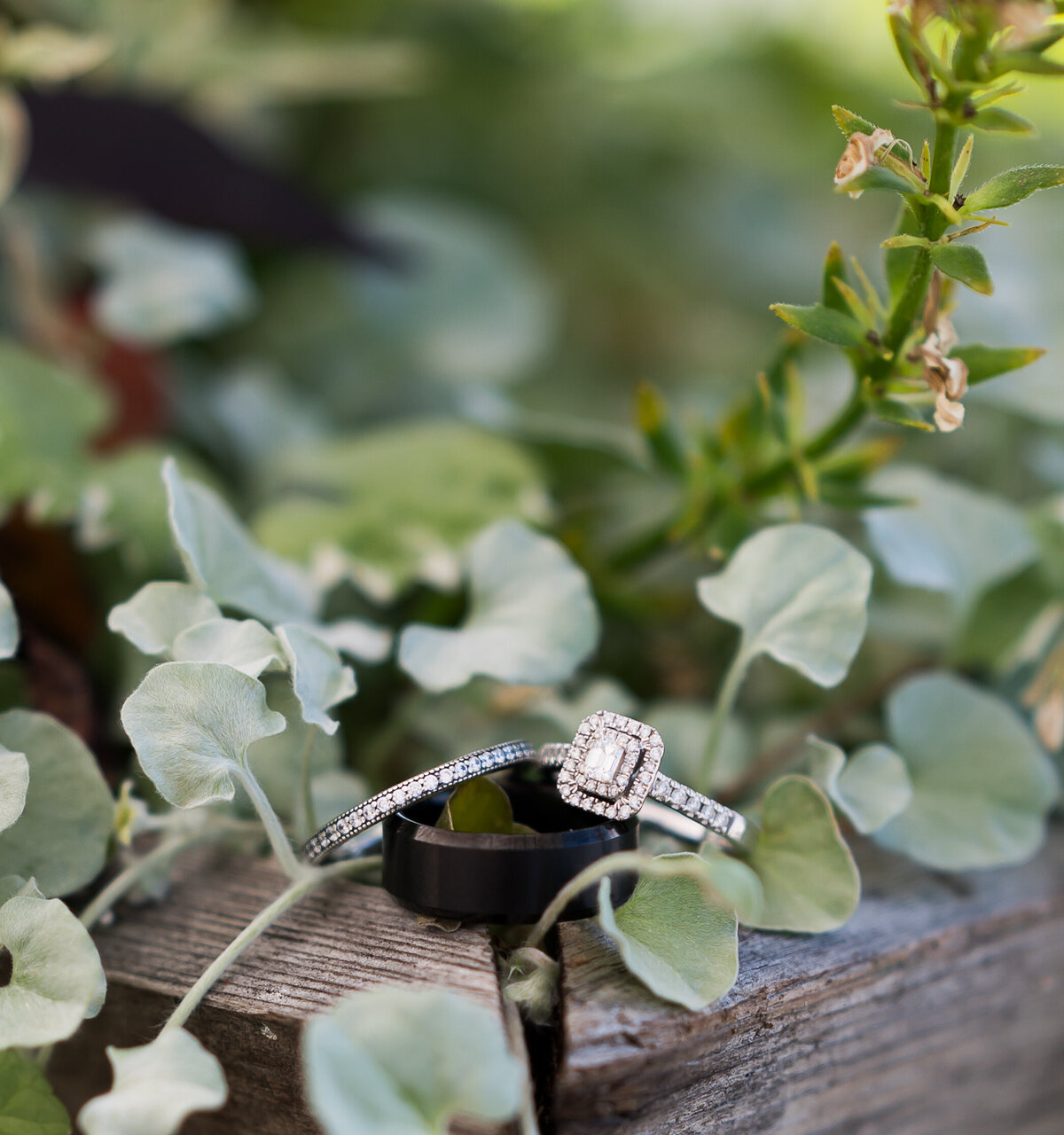 Mt Rainier National Park Elopement Photographer