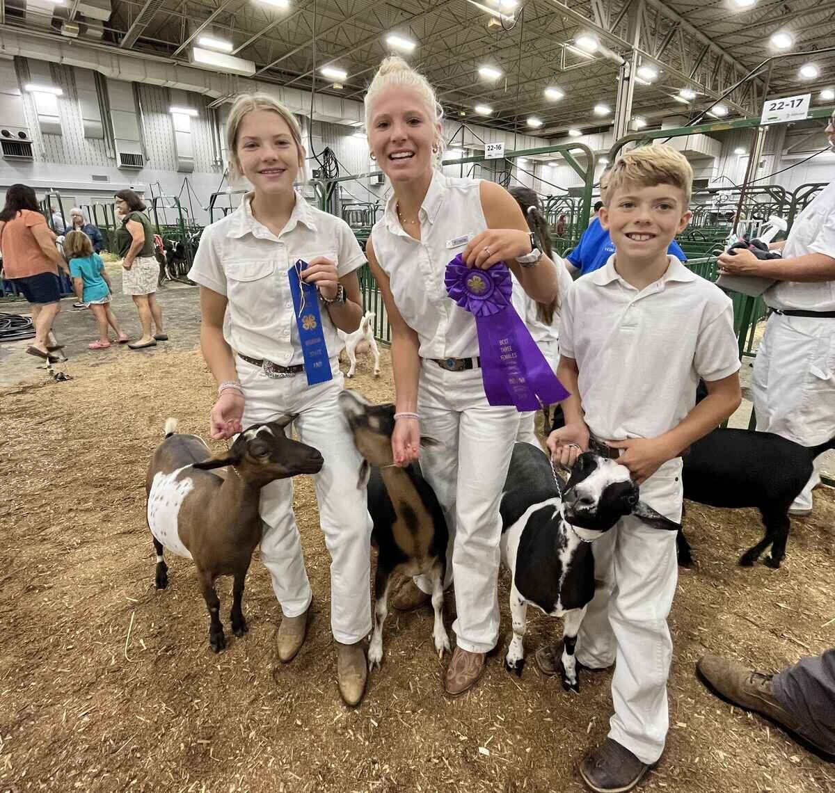 first-place-and-best-three-females-ribbon-winners-adga-indiana-state-fair-goat-show