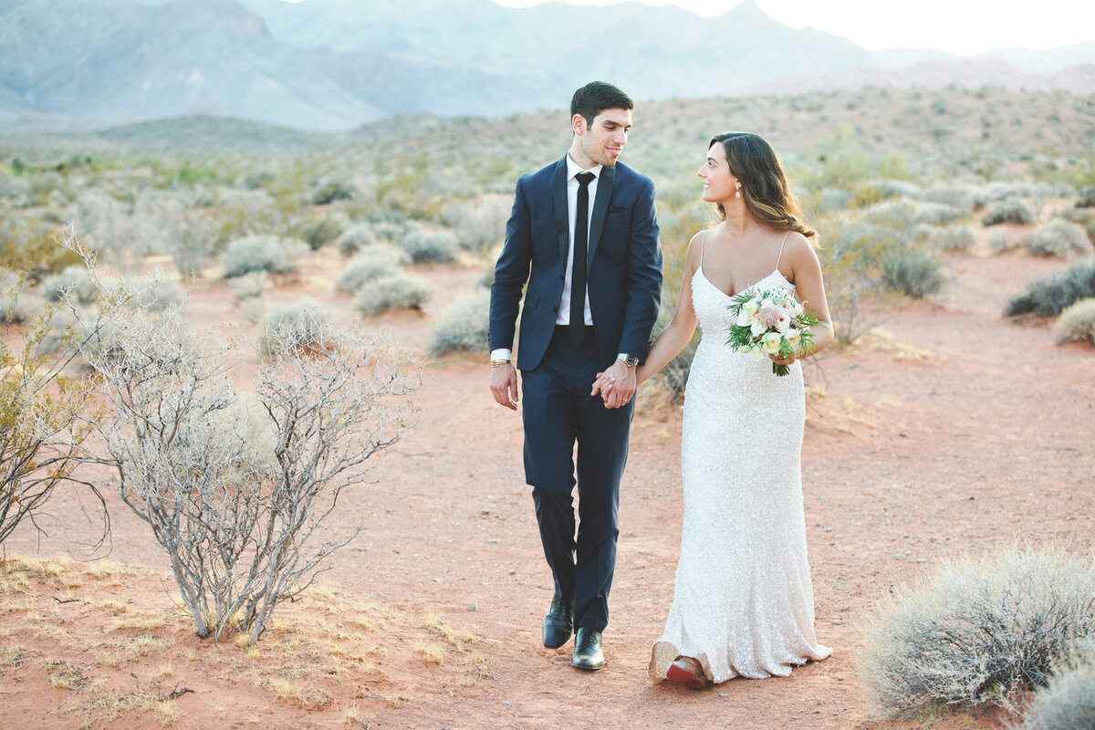 Cactus and Lace David Melissa Las Vegas Desert Wedding Location13