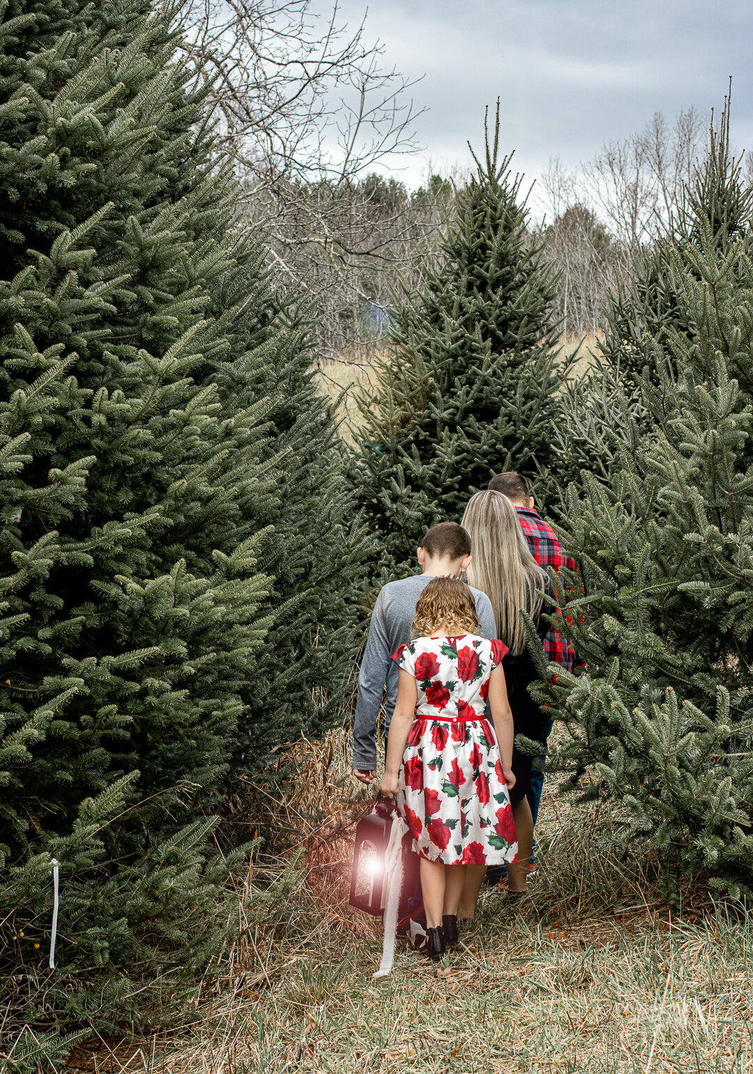 renees-photography-and-designs_christmas-tree-farm_family-children-photoshoot_new-river-valley_blue-ridge-mountains-sm--4