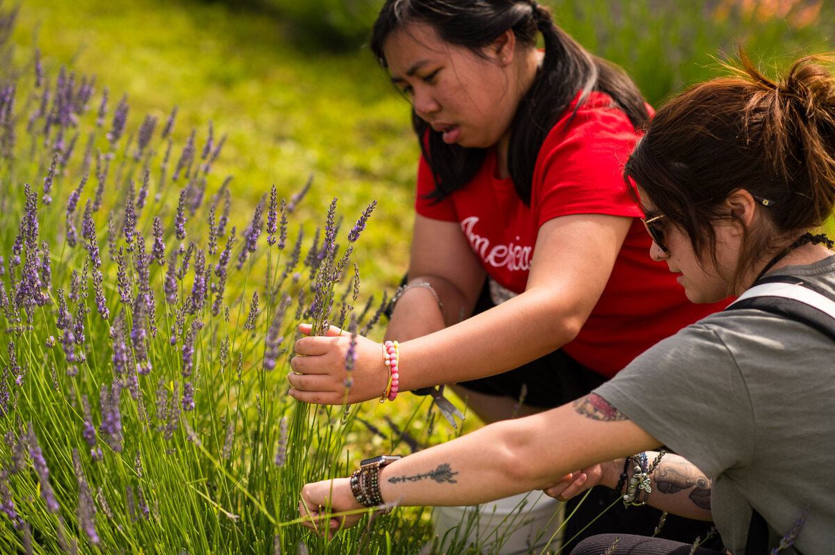 thh_edn_lavender_farm_007