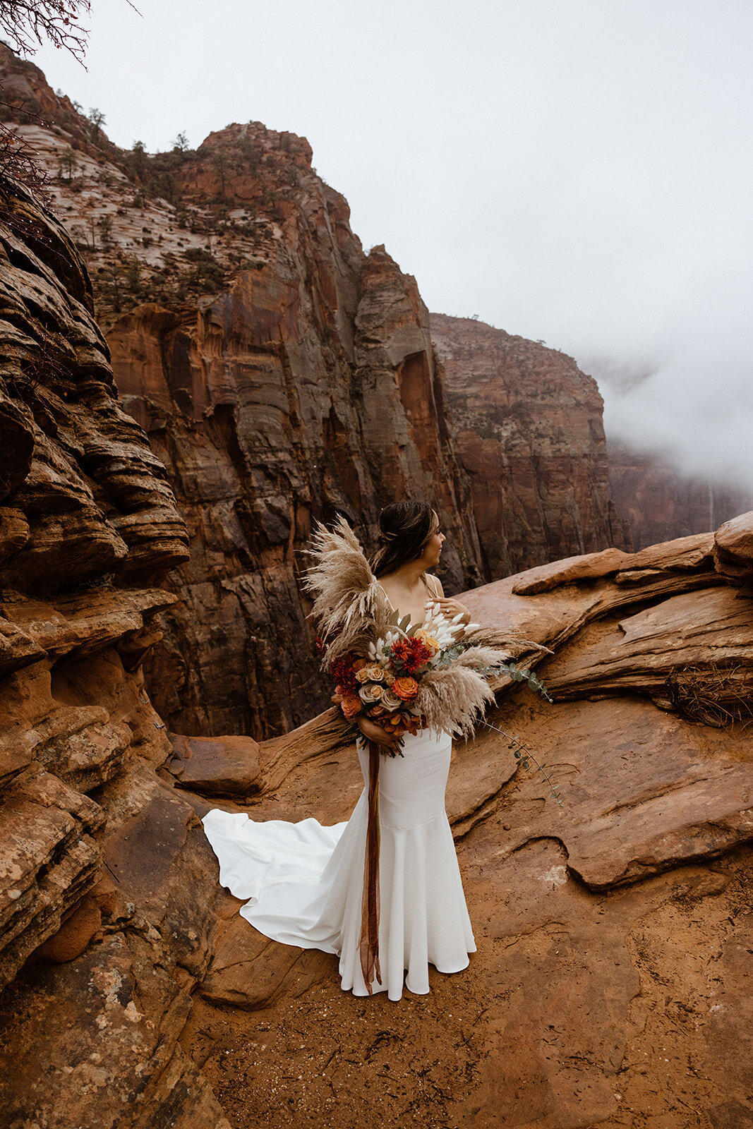 ZionSnowCanyon-dallinhassard-1428