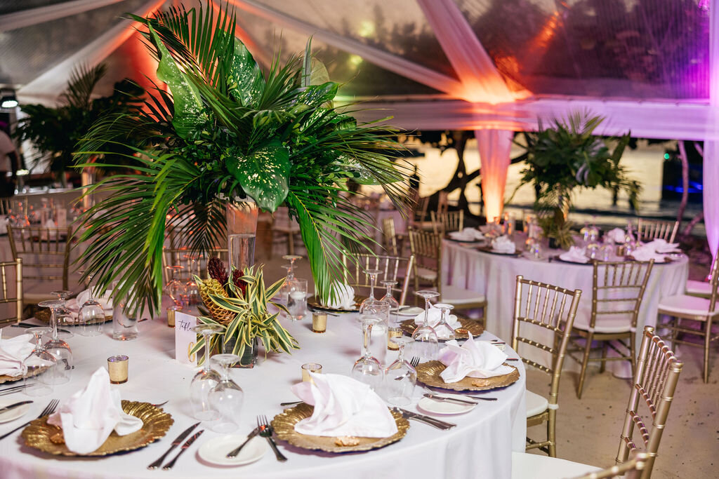 Reception4