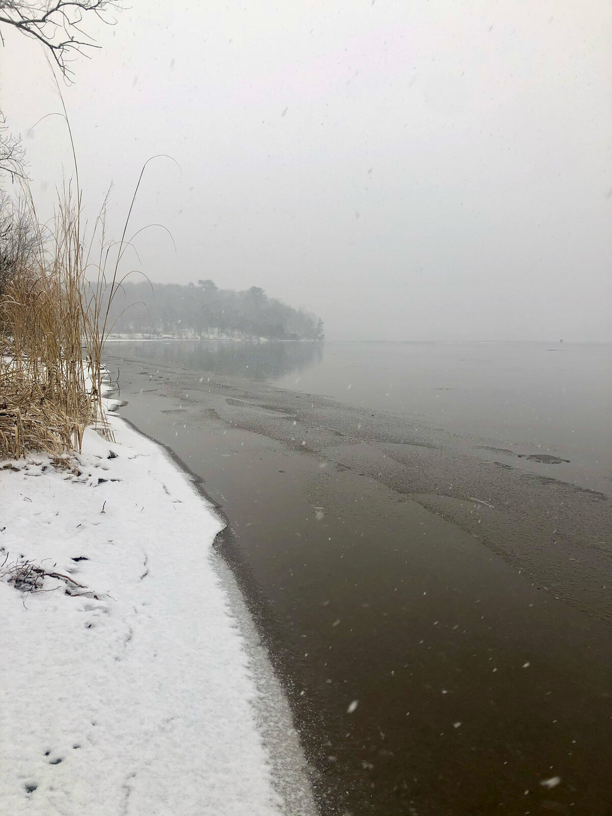 CCC_Estuary_26