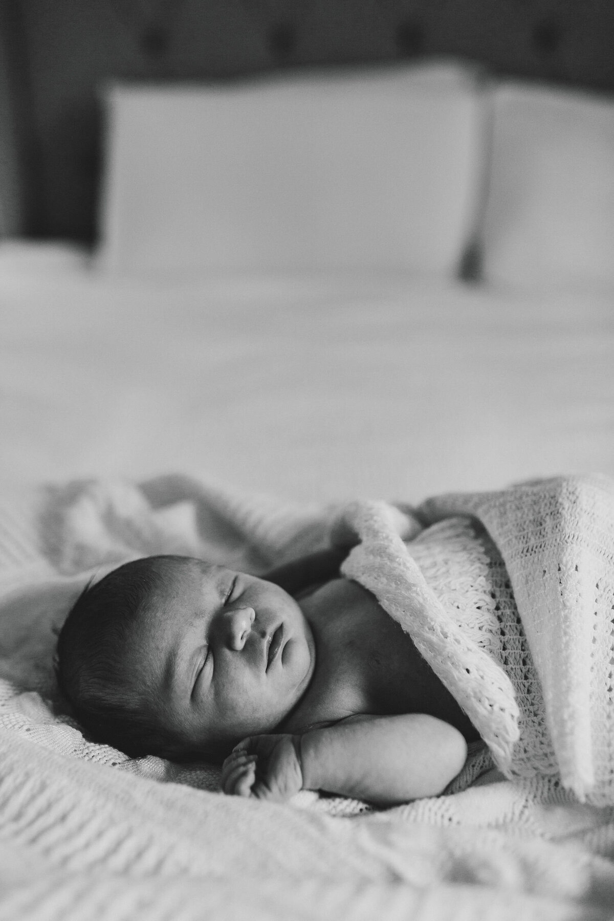 Chattanooga-newborn-photographer29