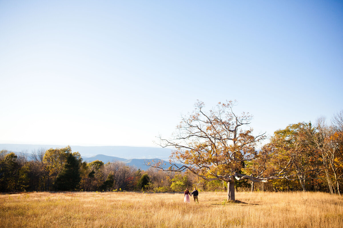 Engagement Virginia ATC-2