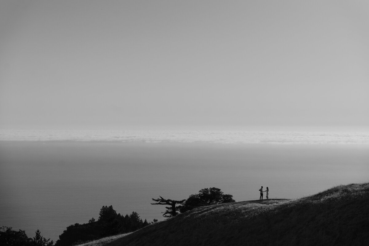 Redwoods-Elopement-186