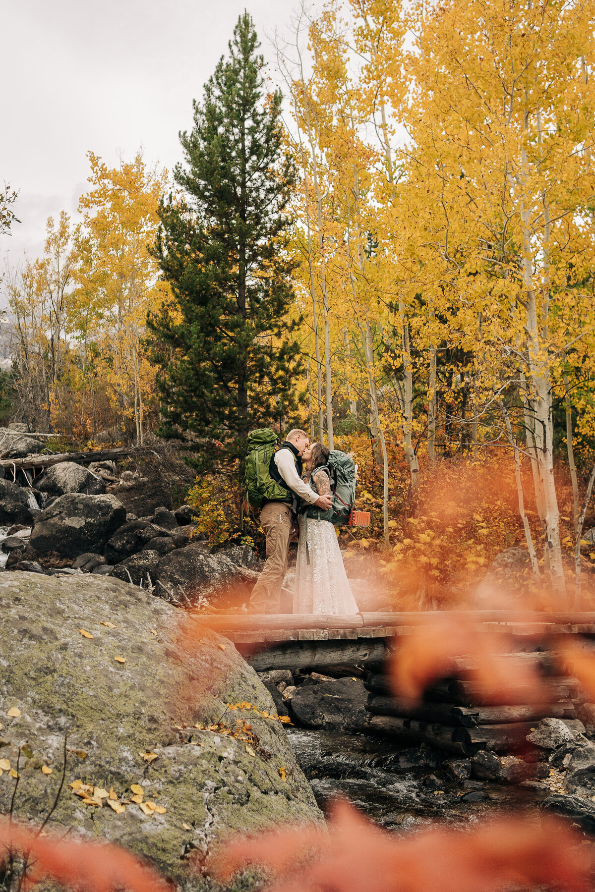jackiedaveelopement-822