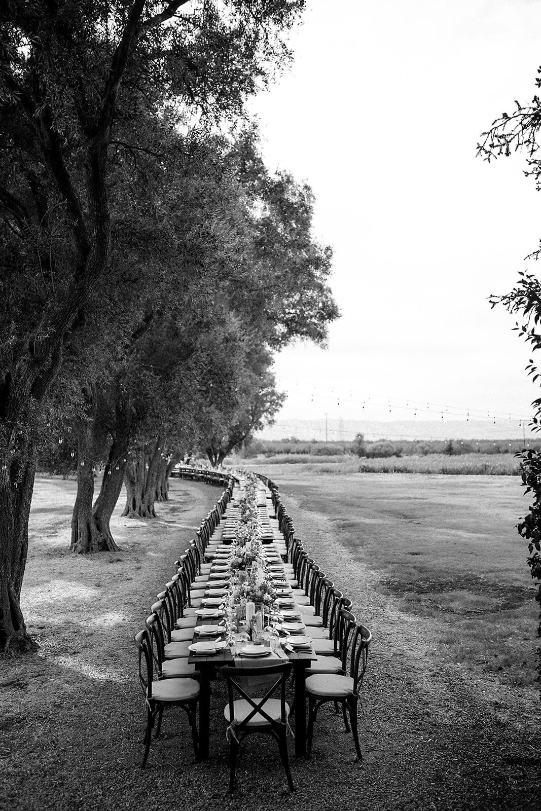 Winters_CA_Wedding_Emily_Nico_September_danipadgett202212810_websize