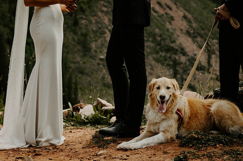 Aspen-Colorado-Wedding-Maroon-Bells-Elopement-190