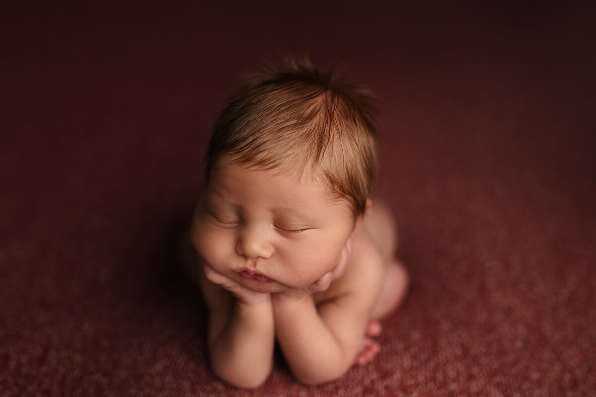 NW Arkansas newborn photographer, newborn photography near me, newborn portraits in NW Arkansas