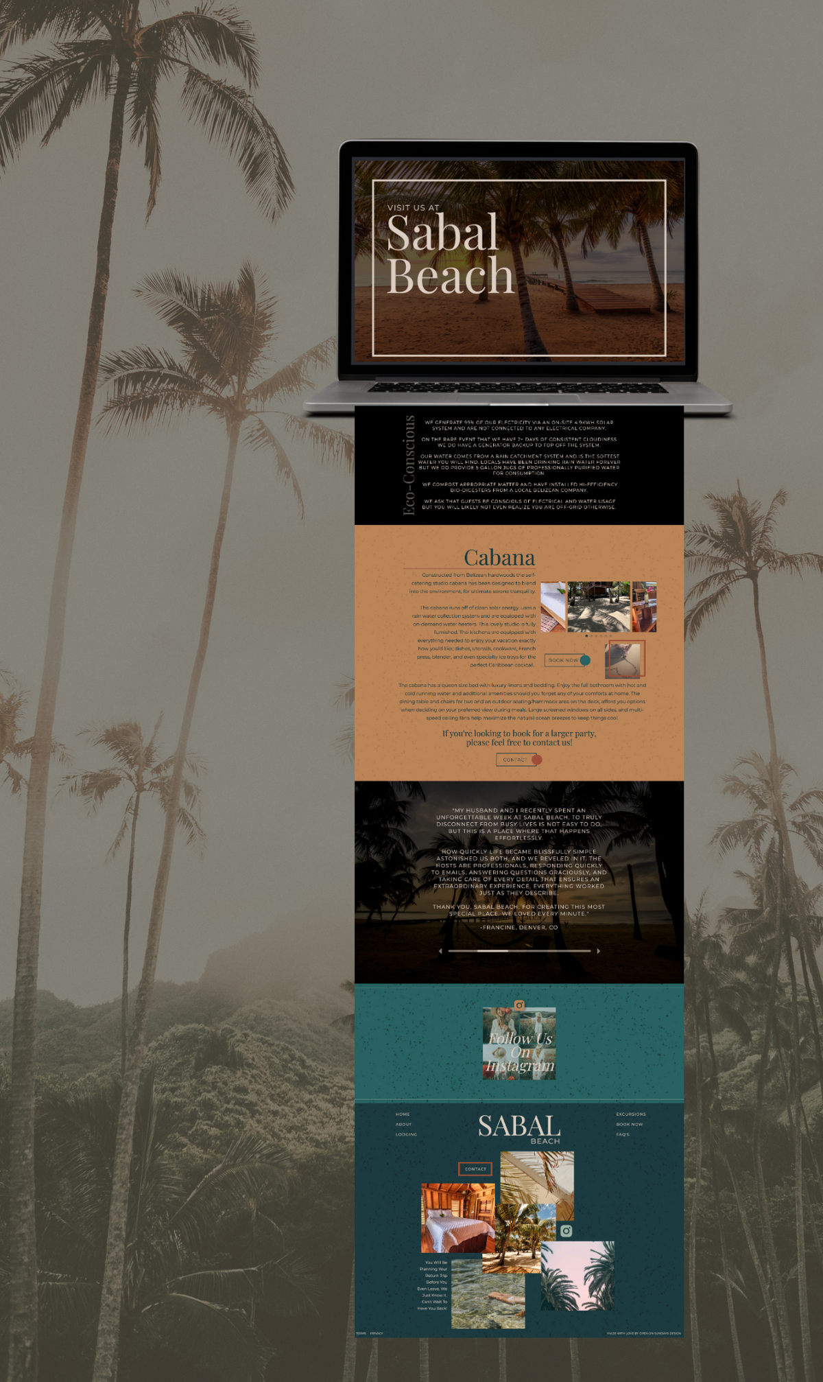 graphic with a long screenshot of a page from a website