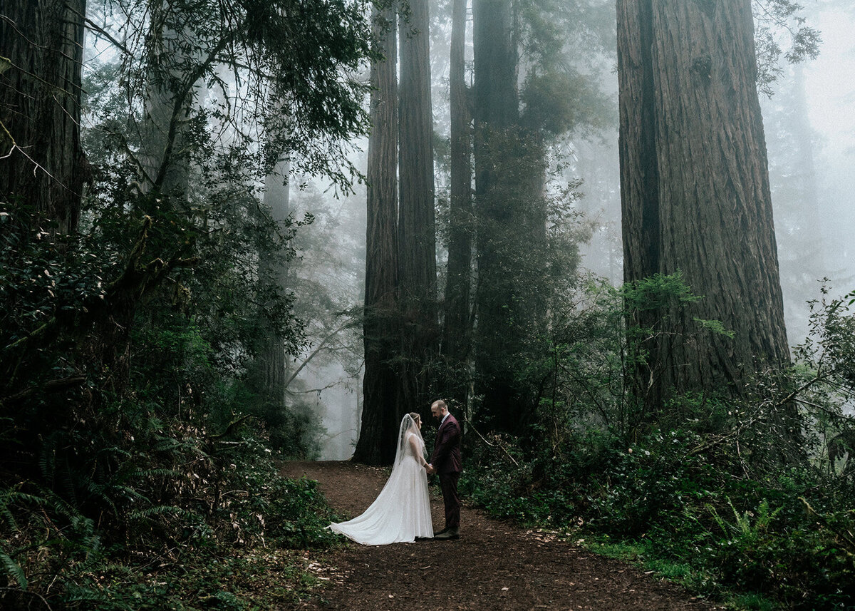 a black and white image of a couple in their wedding attire walking a long a trail towards the sprawling mountains ahead of them. We see their backs as they walk away from their adventure elopement photographers 