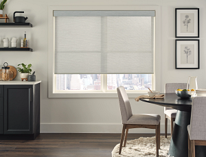 Alta Roller Shade cordless