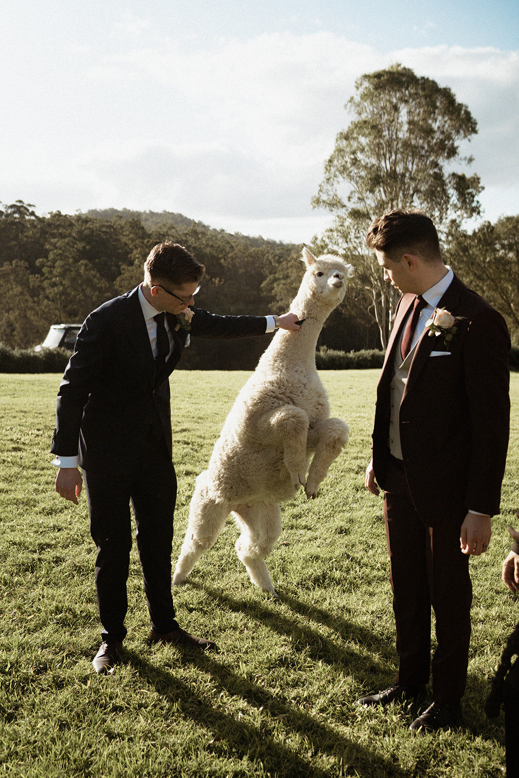 Cowbell Creek Wedding Photographer0540