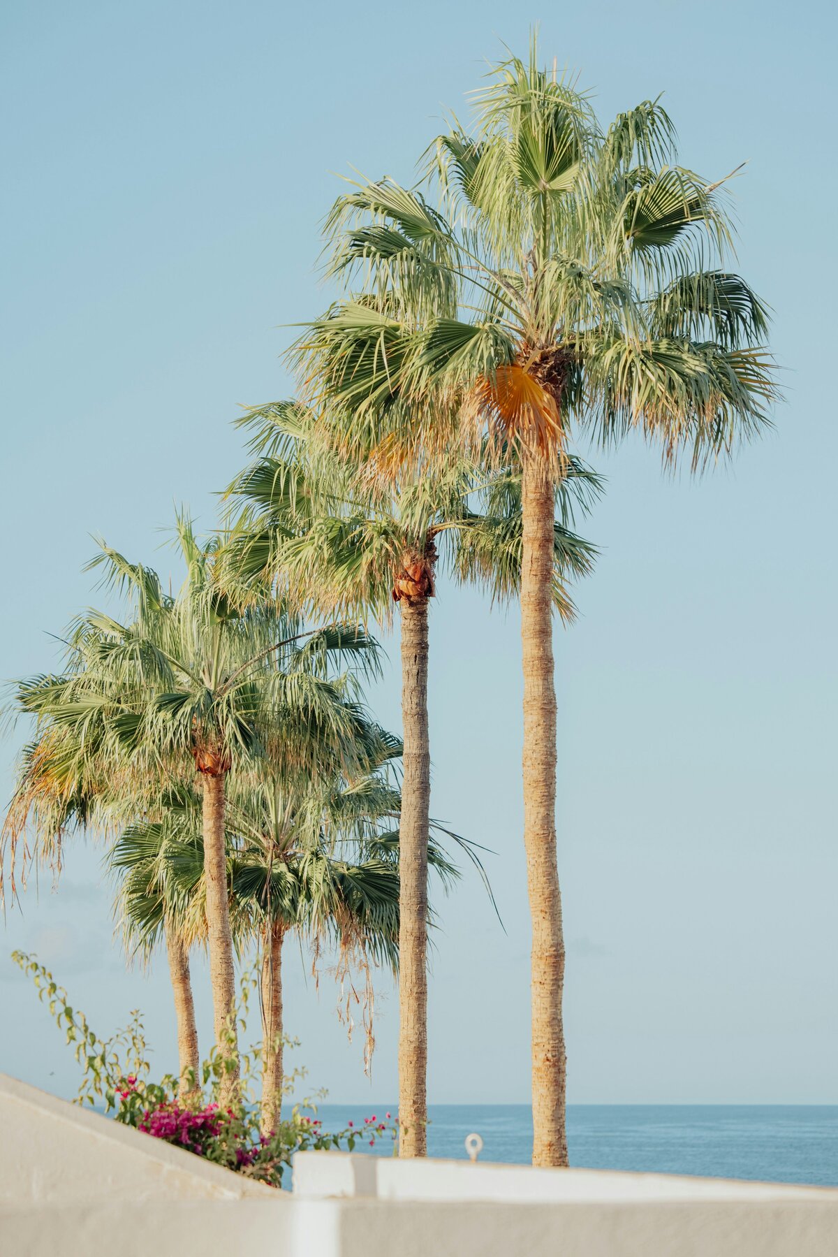 Rachel Levinson, Sex therapist in San Diego, offering compassionate therapy to individuals and couples through IFS and EMDR.