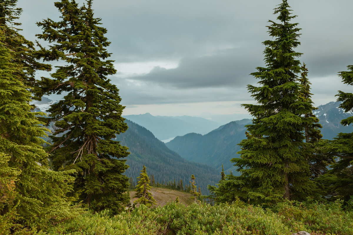 mountiain rainer view