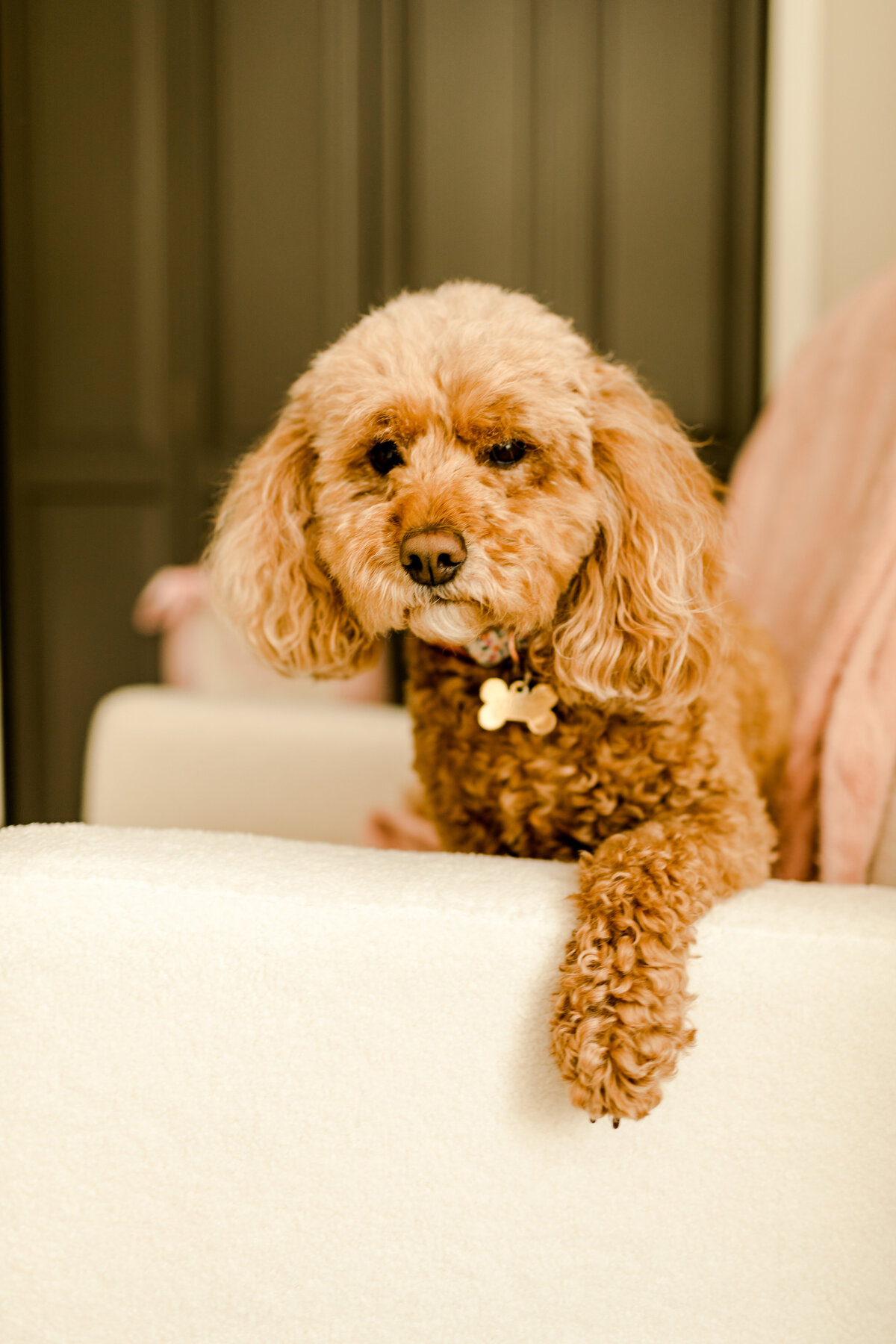 Caitlin and Luke Photography-137