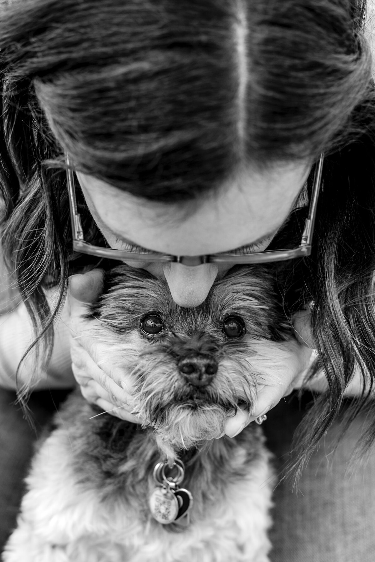 owner-kisses-dogs-head
