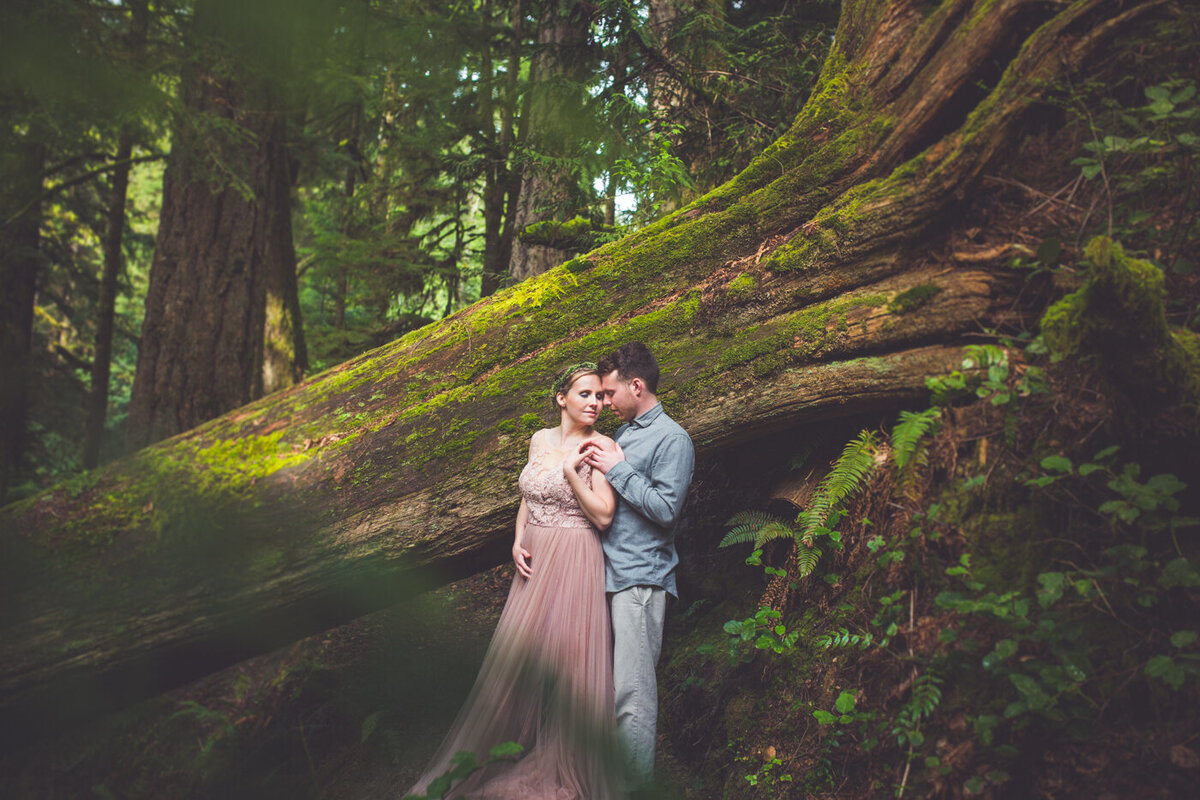 A bride in a pink dress with her groom in the tall trees of Vancouver Island.