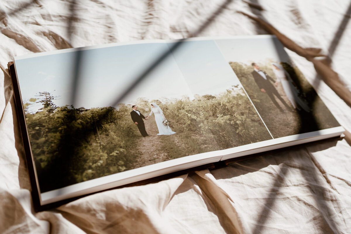 Hannah Redman Photography — photo 8 of 18