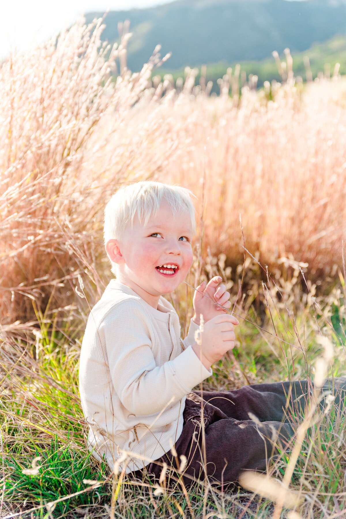 A toddler boy smiles towards the camera while he sits in a field of grass and plays with a bland of golden grass captured by denver family photographer