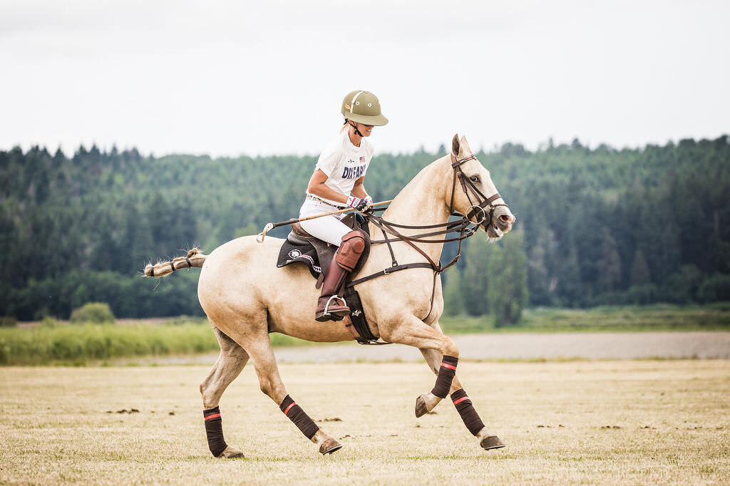 20230624_kya-photography-equestrian-photographer_0022