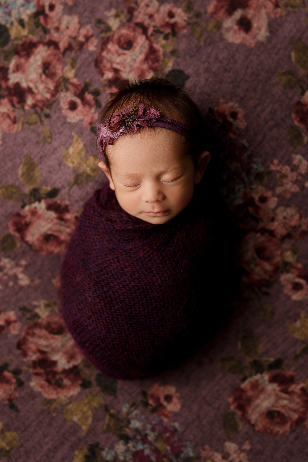 newborn in kalispell  photographer studio