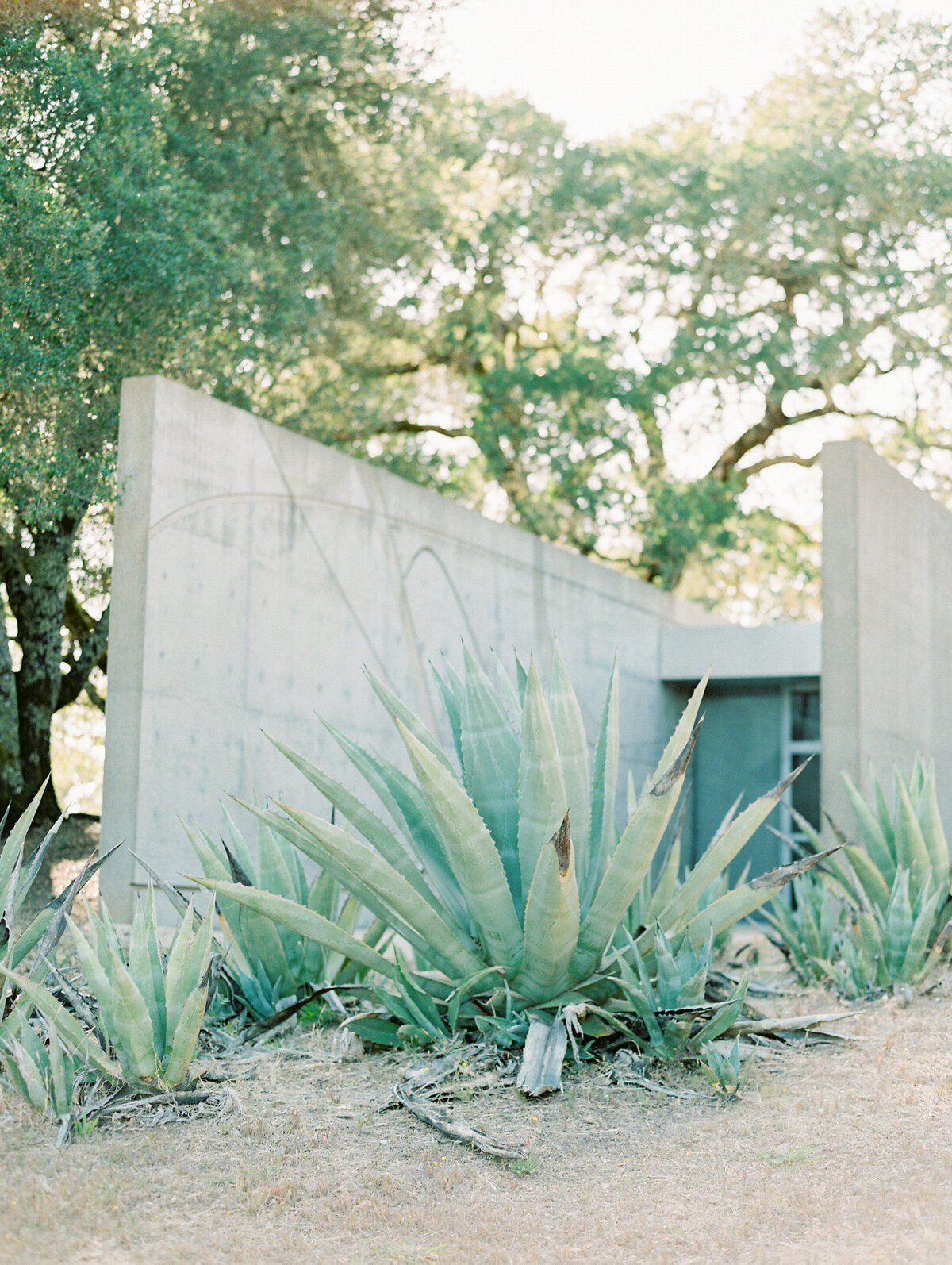 napa-sonoma-bay-area-wedding-photographers-the-tenneys-at-private-estate-wedding-03